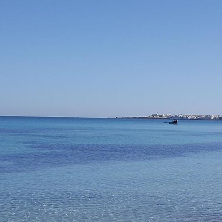 Appartement Vue Sur Mer Turquoise マーディア エクステリア 写真